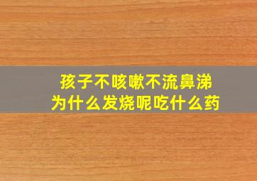 孩子不咳嗽不流鼻涕为什么发烧呢吃什么药