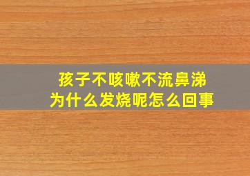 孩子不咳嗽不流鼻涕为什么发烧呢怎么回事