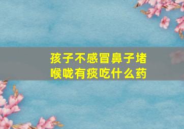 孩子不感冒鼻子堵喉咙有痰吃什么药