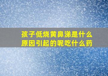 孩子低烧黄鼻涕是什么原因引起的呢吃什么药