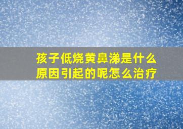 孩子低烧黄鼻涕是什么原因引起的呢怎么治疗