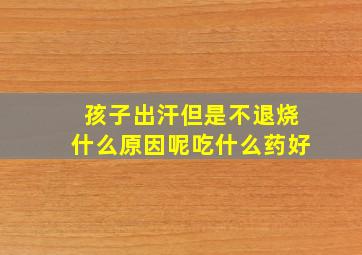 孩子出汗但是不退烧什么原因呢吃什么药好