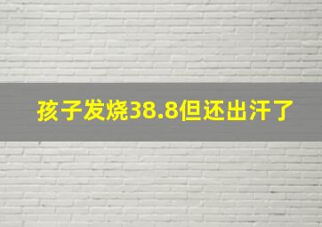 孩子发烧38.8但还出汗了