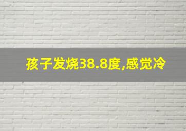 孩子发烧38.8度,感觉冷