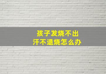 孩子发烧不出汗不退烧怎么办