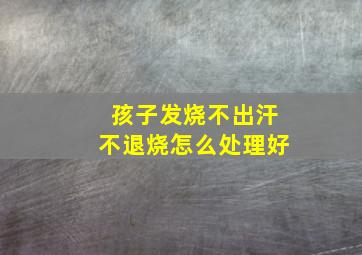 孩子发烧不出汗不退烧怎么处理好