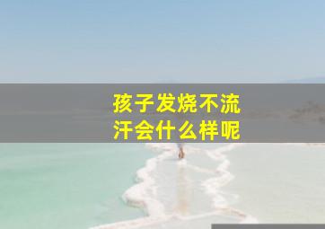 孩子发烧不流汗会什么样呢