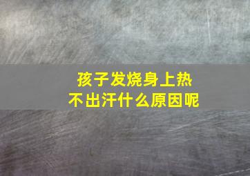 孩子发烧身上热不出汗什么原因呢