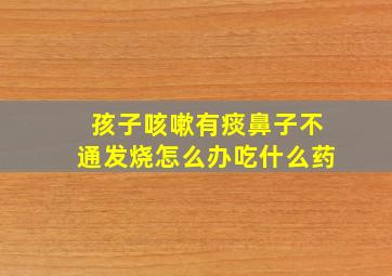 孩子咳嗽有痰鼻子不通发烧怎么办吃什么药