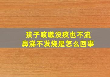 孩子咳嗽没痰也不流鼻涕不发烧是怎么回事