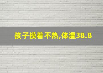 孩子摸着不热,体温38.8