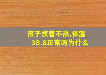 孩子摸着不热,体温38.8正常吗为什么