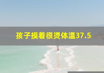 孩子摸着很烫体温37.5