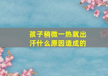 孩子稍微一热就出汗什么原因造成的