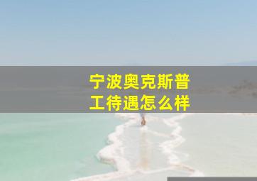 宁波奥克斯普工待遇怎么样