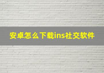 安卓怎么下载ins社交软件