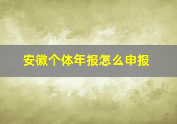 安徽个体年报怎么申报