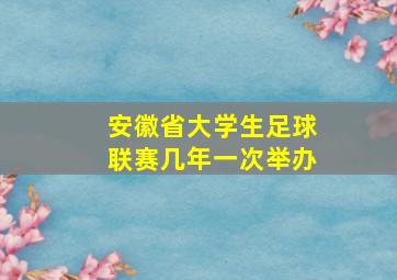 安徽省大学生足球联赛几年一次举办