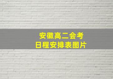 安徽高二会考日程安排表图片