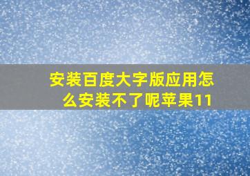 安装百度大字版应用怎么安装不了呢苹果11