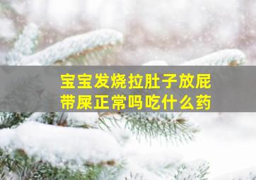 宝宝发烧拉肚子放屁带屎正常吗吃什么药