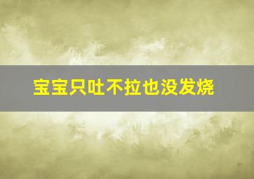 宝宝只吐不拉也没发烧