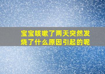 宝宝咳嗽了两天突然发烧了什么原因引起的呢