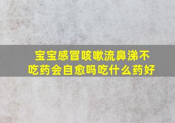 宝宝感冒咳嗽流鼻涕不吃药会自愈吗吃什么药好