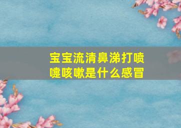 宝宝流清鼻涕打喷嚏咳嗽是什么感冒