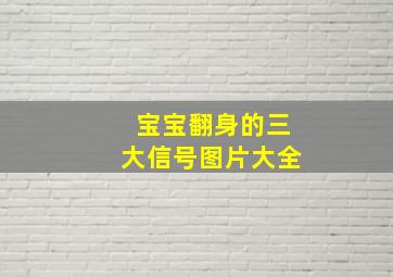 宝宝翻身的三大信号图片大全