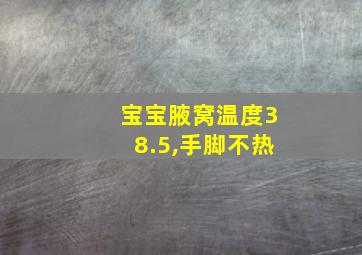 宝宝腋窝温度38.5,手脚不热