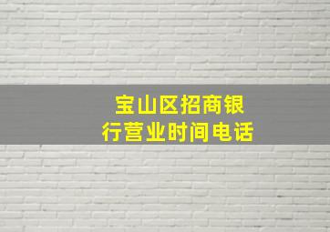 宝山区招商银行营业时间电话