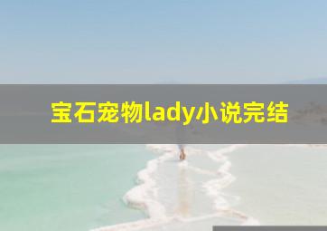 宝石宠物lady小说完结