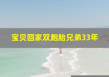 宝贝回家双胞胎兄弟33年