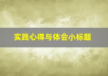 实践心得与体会小标题