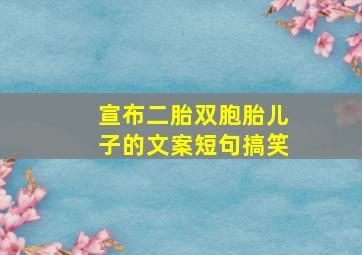 宣布二胎双胞胎儿子的文案短句搞笑