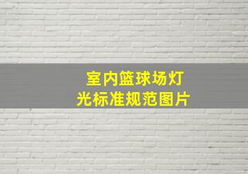 室内篮球场灯光标准规范图片