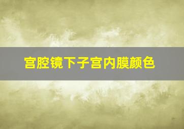 宫腔镜下子宫内膜颜色