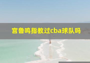 宫鲁鸣指教过cba球队吗