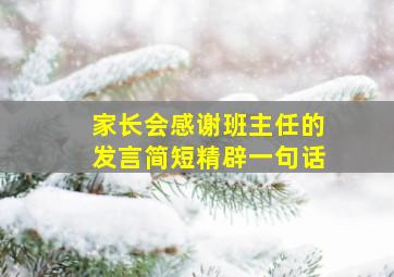 家长会感谢班主任的发言简短精辟一句话