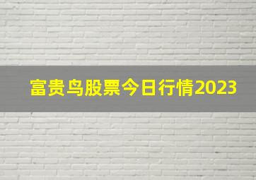 富贵鸟股票今日行情2023