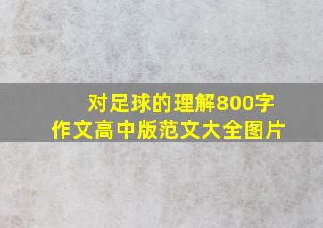 对足球的理解800字作文高中版范文大全图片