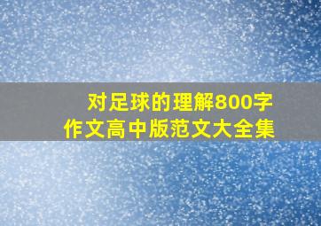 对足球的理解800字作文高中版范文大全集