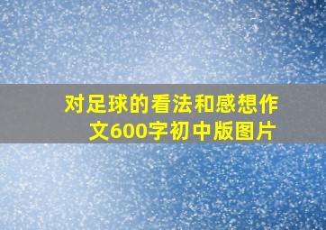 对足球的看法和感想作文600字初中版图片