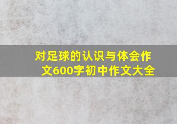 对足球的认识与体会作文600字初中作文大全