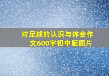 对足球的认识与体会作文600字初中版图片