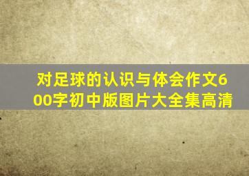 对足球的认识与体会作文600字初中版图片大全集高清