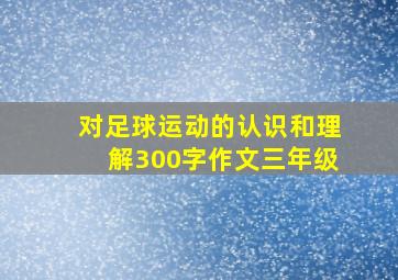 对足球运动的认识和理解300字作文三年级