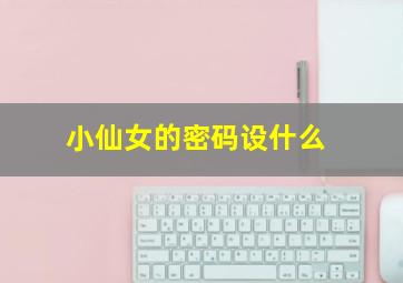 小仙女的密码设什么