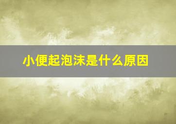 小便起泡沫是什么原因